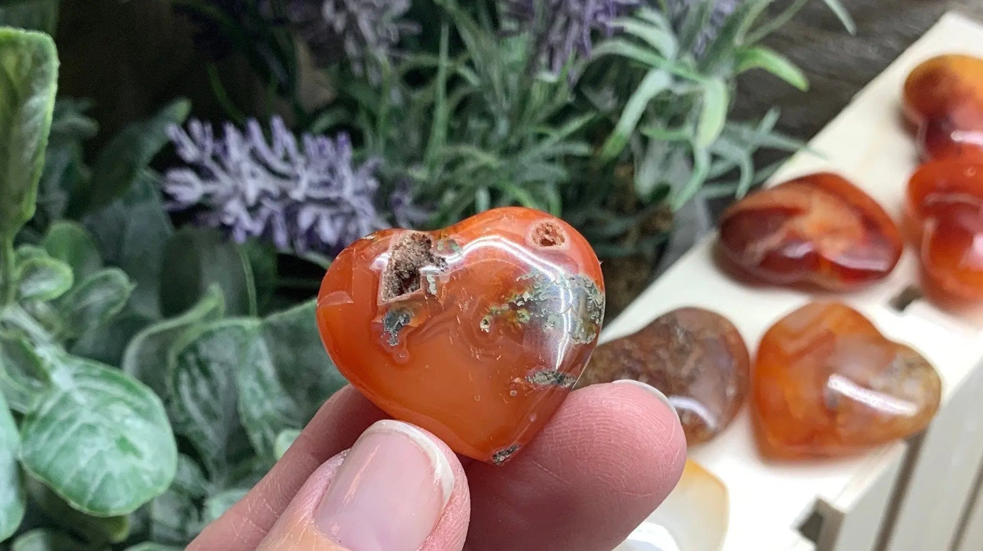 Carnelian Agate Heart (Medium) Approx. 1 1/4” 0581 Shop Wholesale Crystals