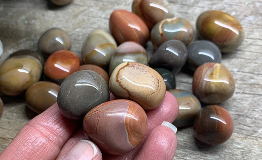 Polychrome Jasper Tumbled Stone BIN-1417 Approx 3/4" - 1 1/4” Shop Wholesale Crystals
