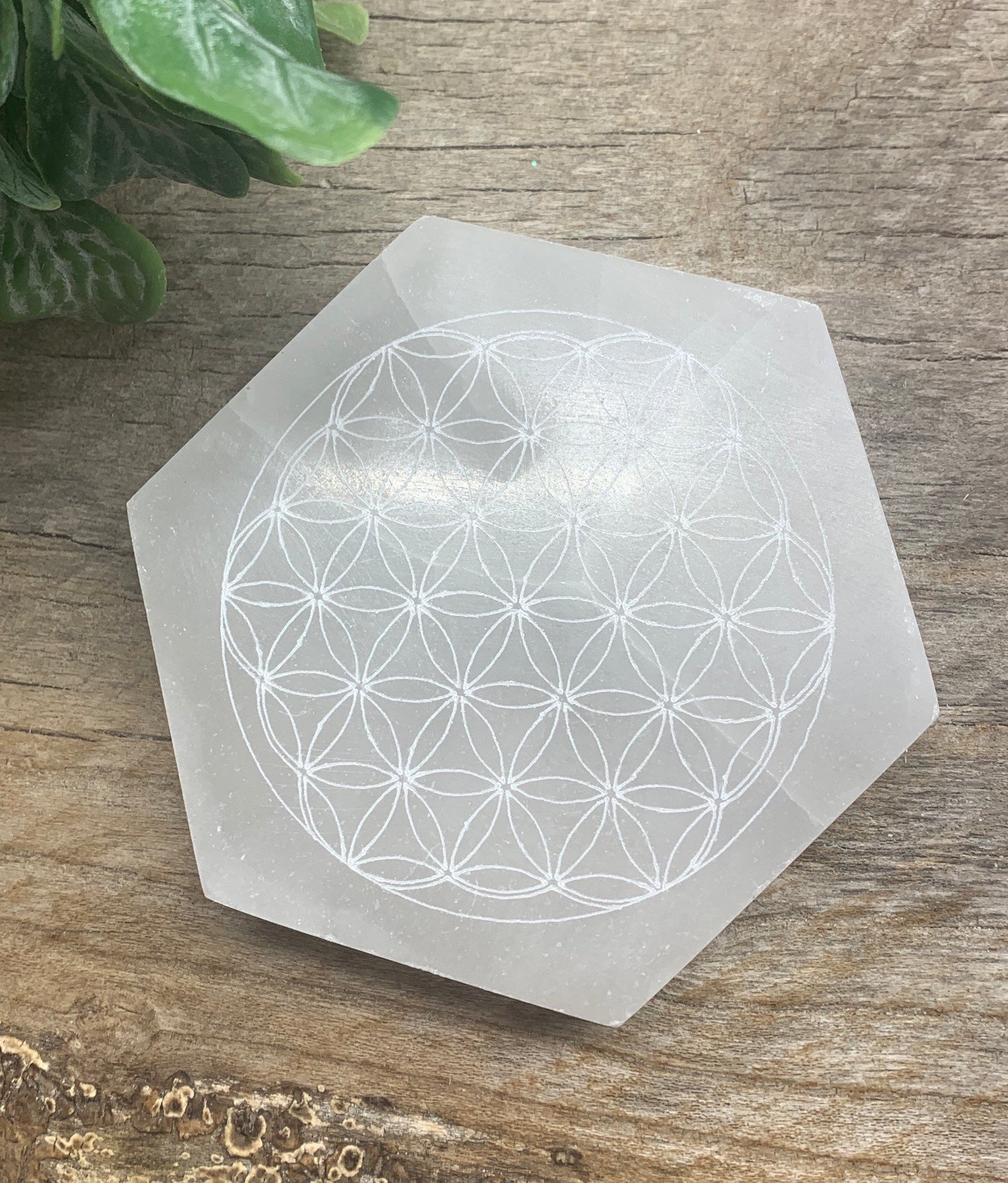 Flower Of Life Carved Selenite Tile 4” Carved Selenite Hexagon S-0064