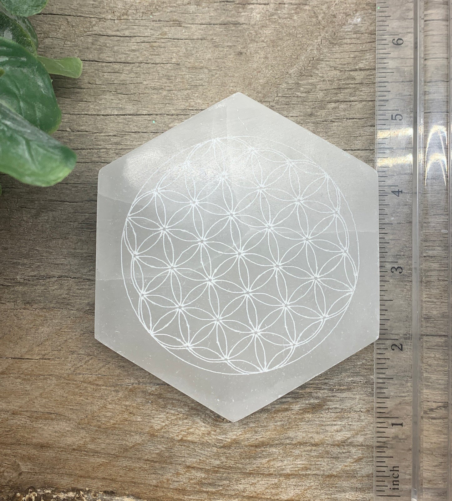 Flower Of Life Carved Selenite Tile 4” Carved Selenite Hexagon S-0064