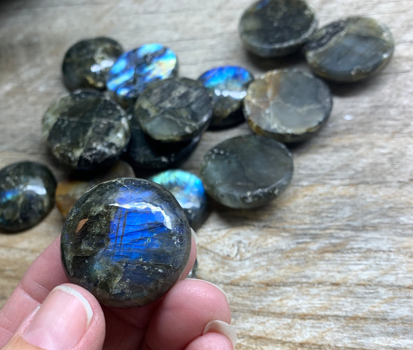 Labradorite 1” Disk BIN-1467