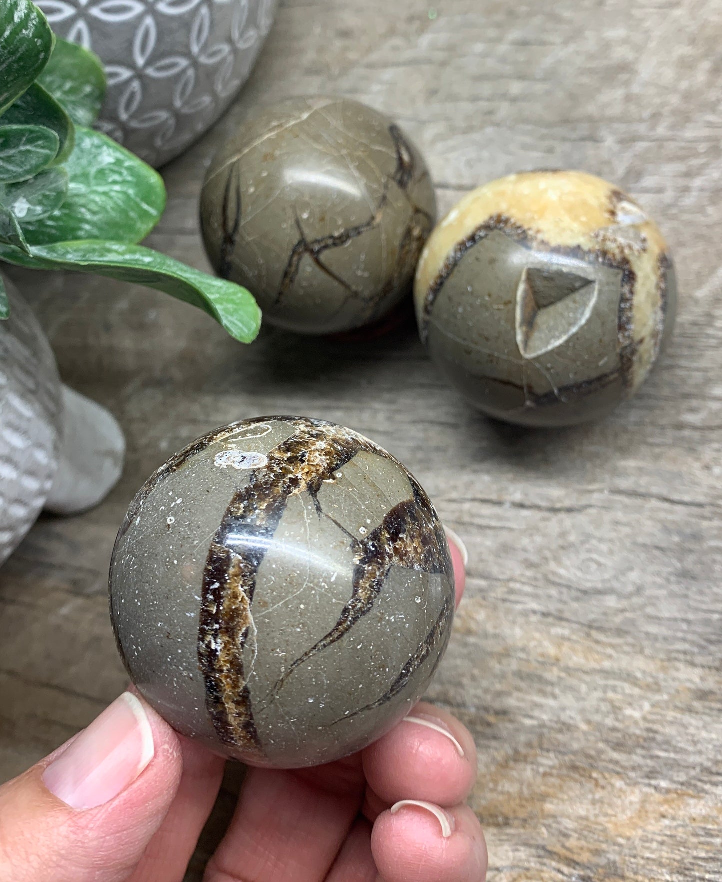 Septarian Nodule Sphere Approx 50mm-55mm 0283