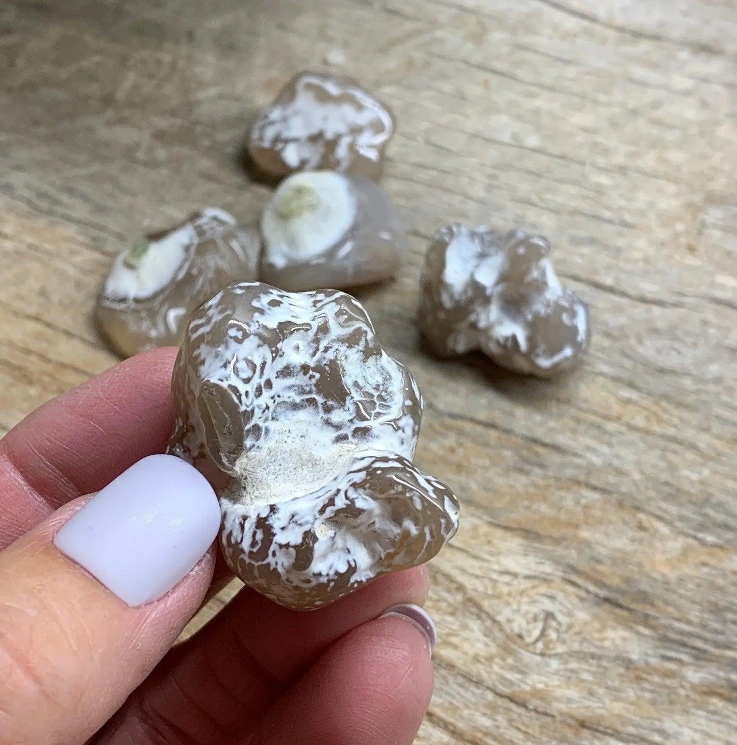 Snake Skin Agate Stone (large 1”- 1 1/2”) 0611 Shop Wholesale Crystals