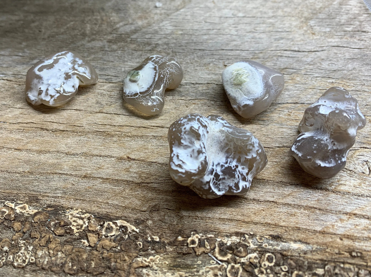 Snake Skin Agate Stone (large 1”- 1 1/2”) 0611 Shop Wholesale Crystals