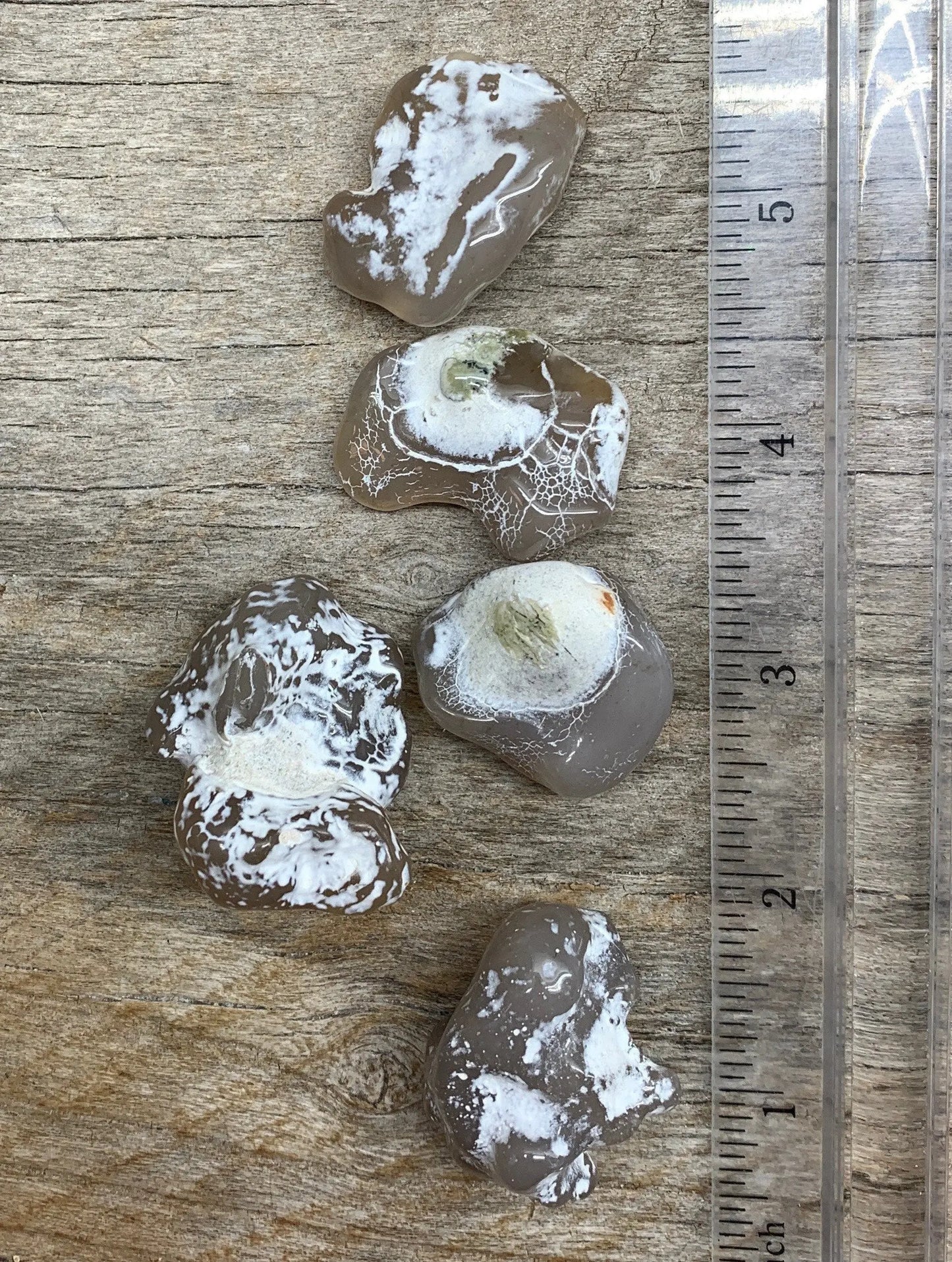 Snake Skin Agate Stone (large 1”- 1 1/2”) 0611 Shop Wholesale Crystals