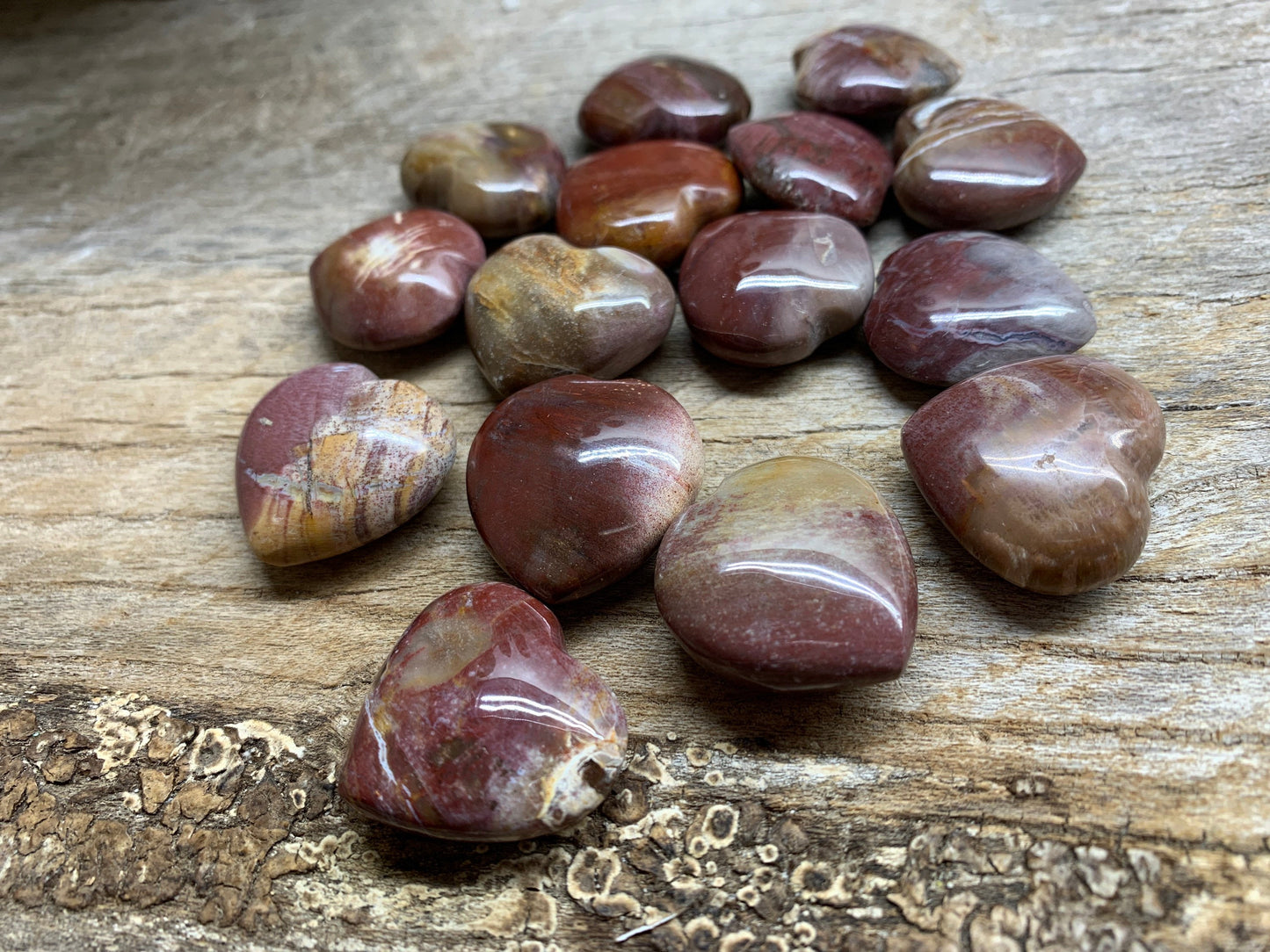 Petrified Wood Heart 3/4”- 1” 0500