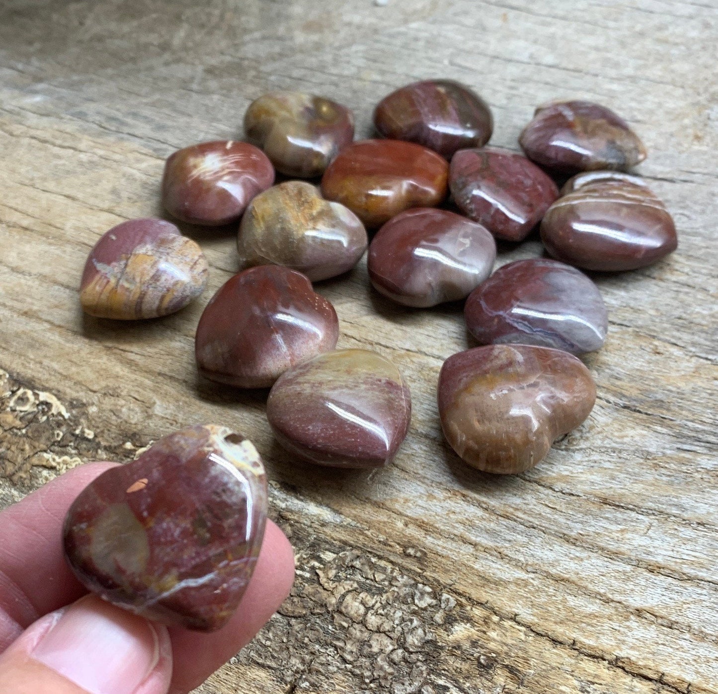 Petrified Wood Heart 3/4”- 1” 0500