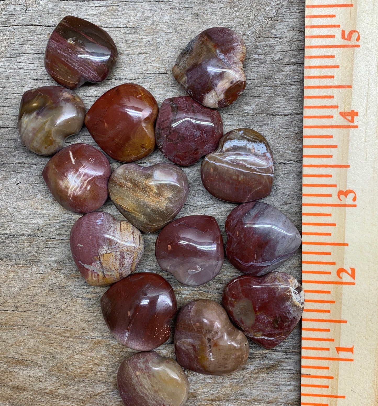 Petrified Wood Heart 3/4”- 1” 0500