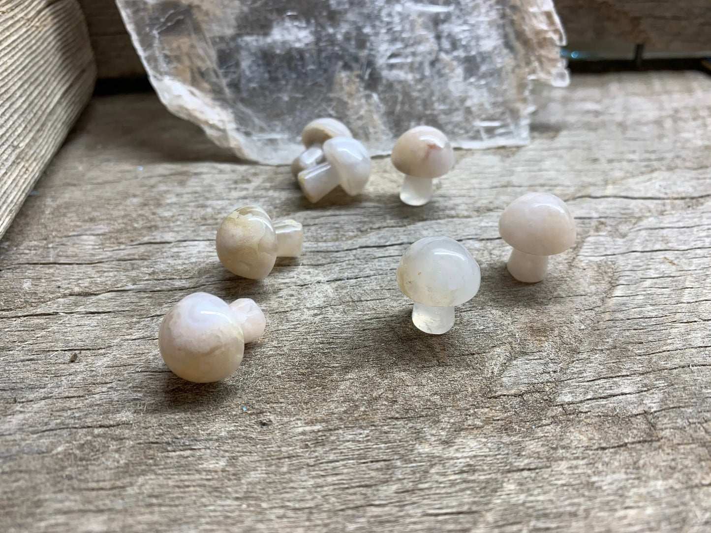 Flower Agate Mushroom (Approx. 5/8”x 3/4”) 0010 Shop Wholesale Crystals