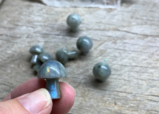 Labradorite Mushroom (Approx. 5/8” x 3/4”) 0011