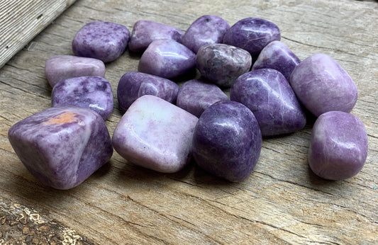 Lepidolite Palm Large Tumbled Stone 1559 (1 3/4”- 2 1/2”) Shop Wholesale Crystals