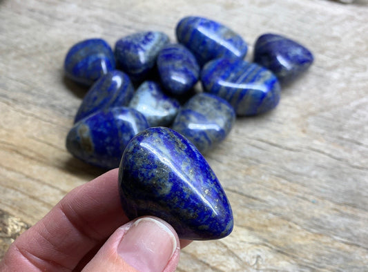 Lapis Lazuli Tumble Stone BIN-1310 Beautiful, Natural. Large (1 1/2”- 1 3/4”)