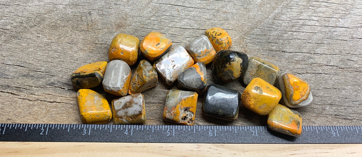 Bumblebee Jasper Tumbled Stone 0620 (5/8”- 1”)