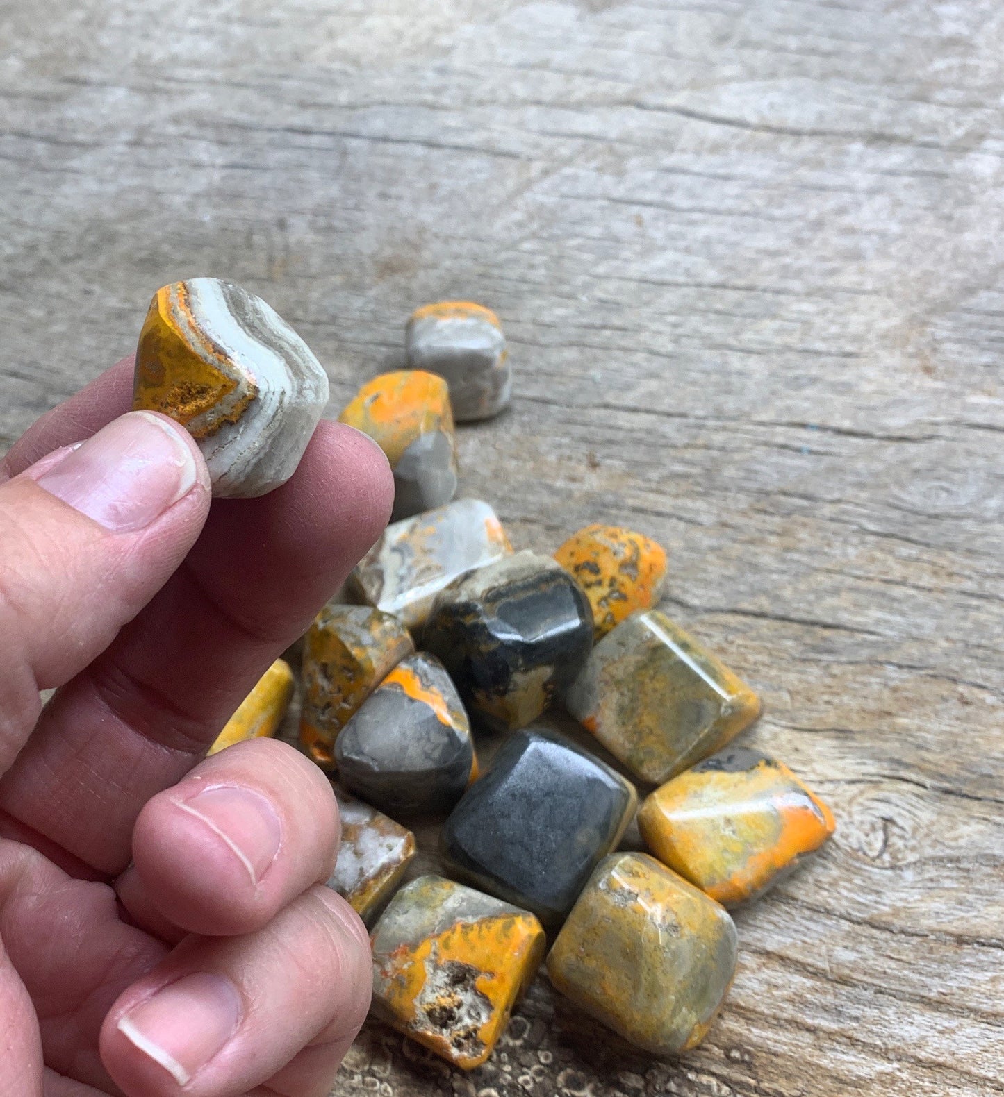 Bumblebee Jasper Tumbled Stone 0620 (5/8”- 1”)