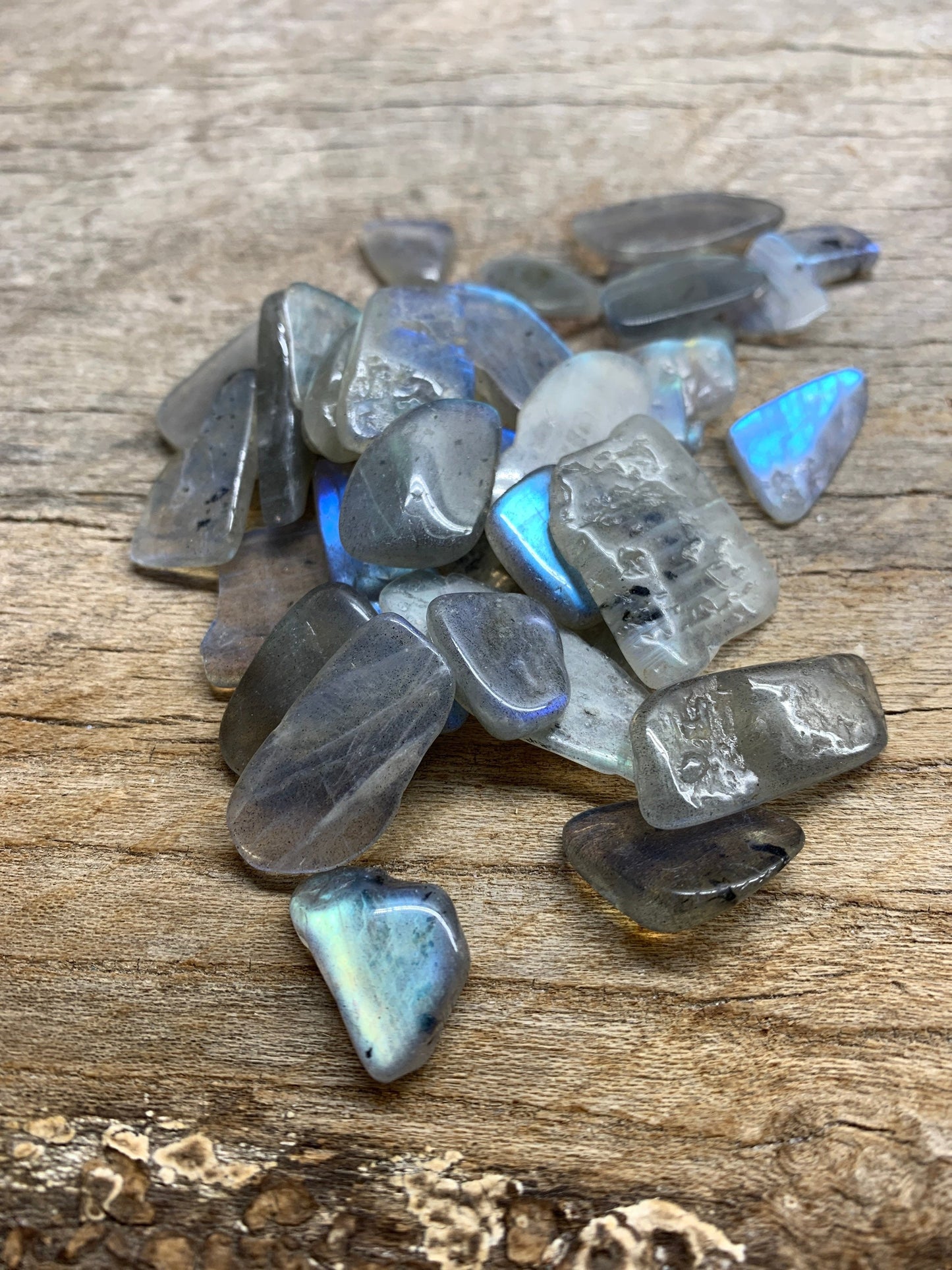 Labradorite Tumble Stone 0656 Small Flat (Approx. 5/8”- 1”)