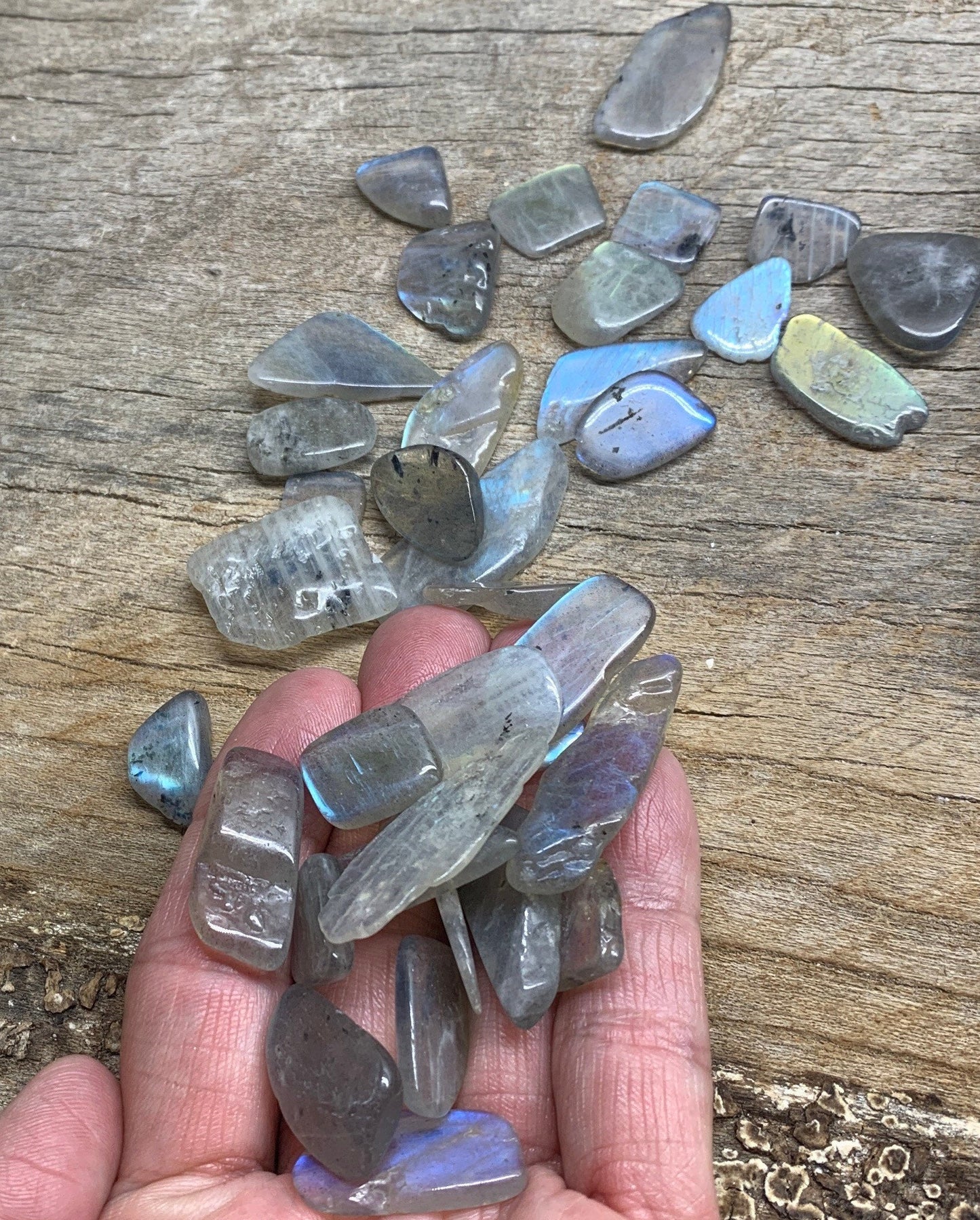 Labradorite Tumble Stone 0656 Small Flat (Approx. 5/8”- 1”)