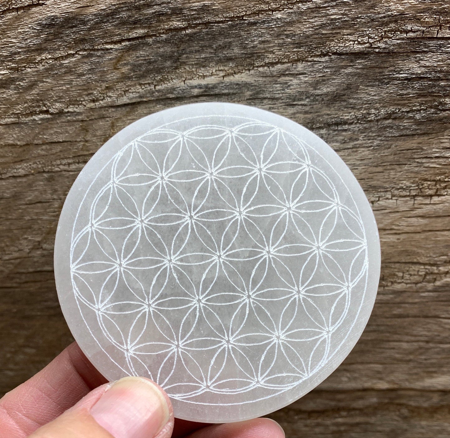 Selenite Flower Of Life Etched 70mm Disk S-0008