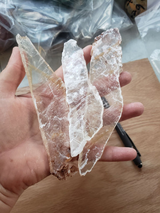 Medium Selenite Feather (Approx. 4 1/4" - 6") 0486