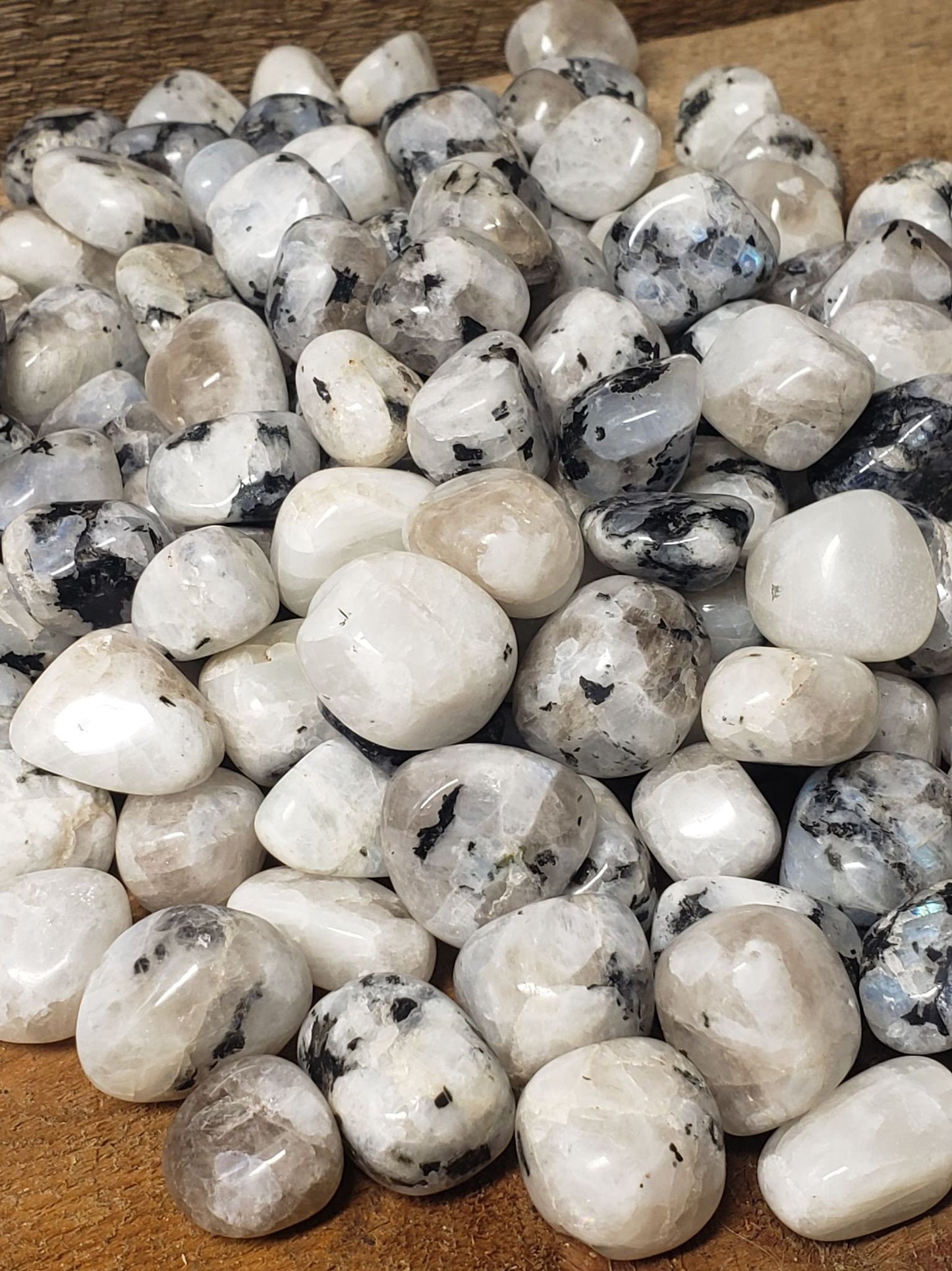 Rainbow Moonstone, Polished Tumbled Stone (Approx 3/4 - 1" long) Polished Iridescent Stone BIN-1445