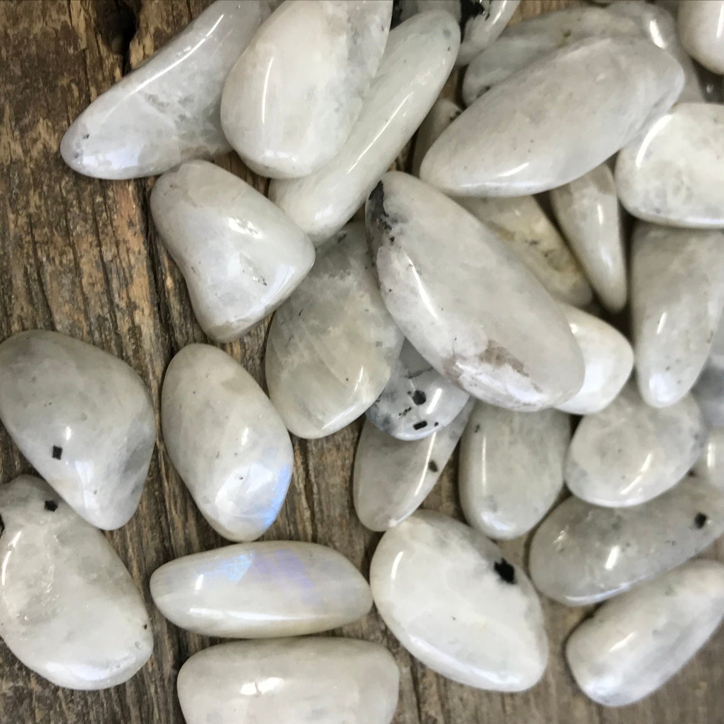 Rainbow Moonstone, Polished Tumbled Stone (Approx 3/4 - 1" long) Polished Iridescent Stone BIN-1445