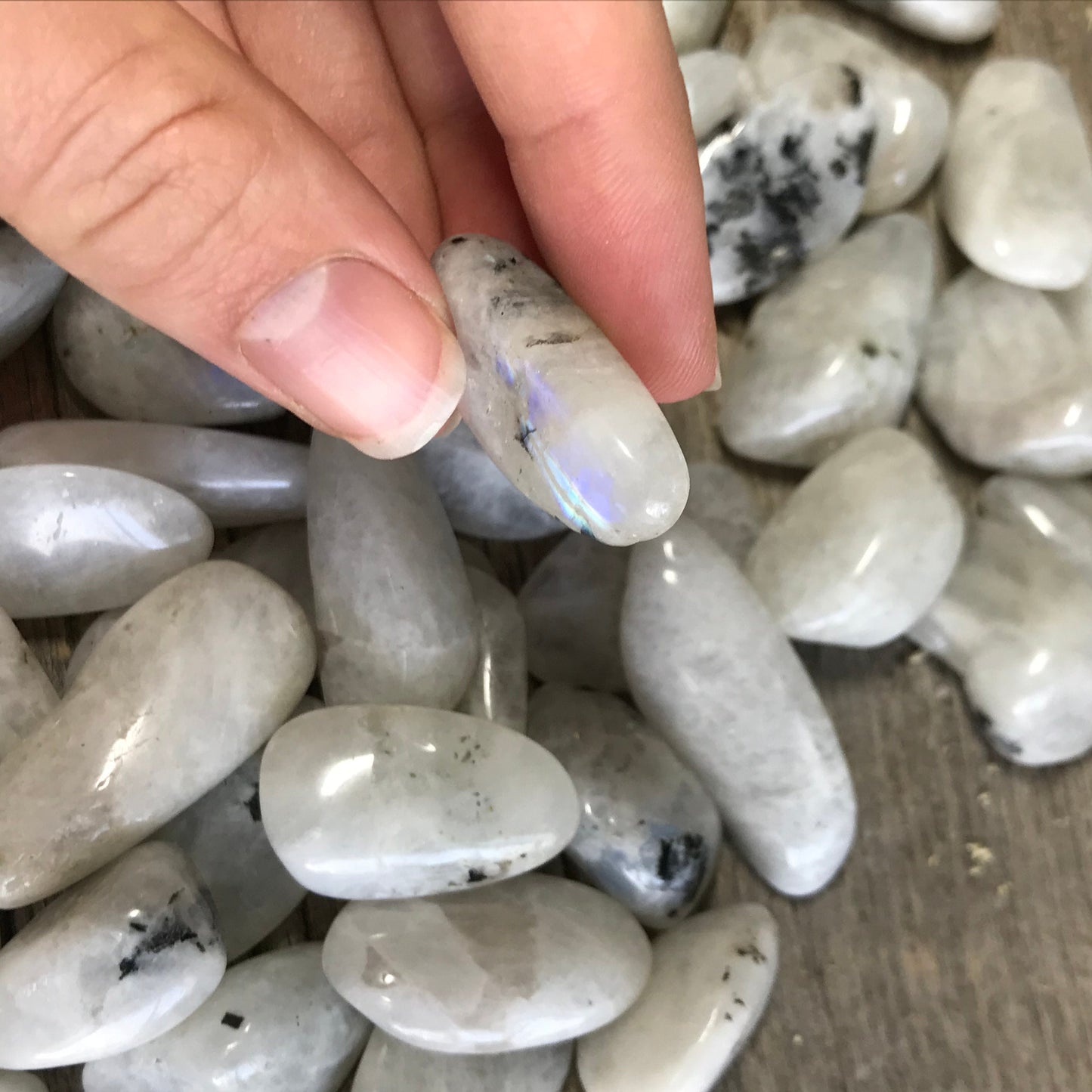 Rainbow Moonstone, Polished Tumbled Stone (Approx 3/4 - 1" long) Polished Iridescent Stone BIN-1445