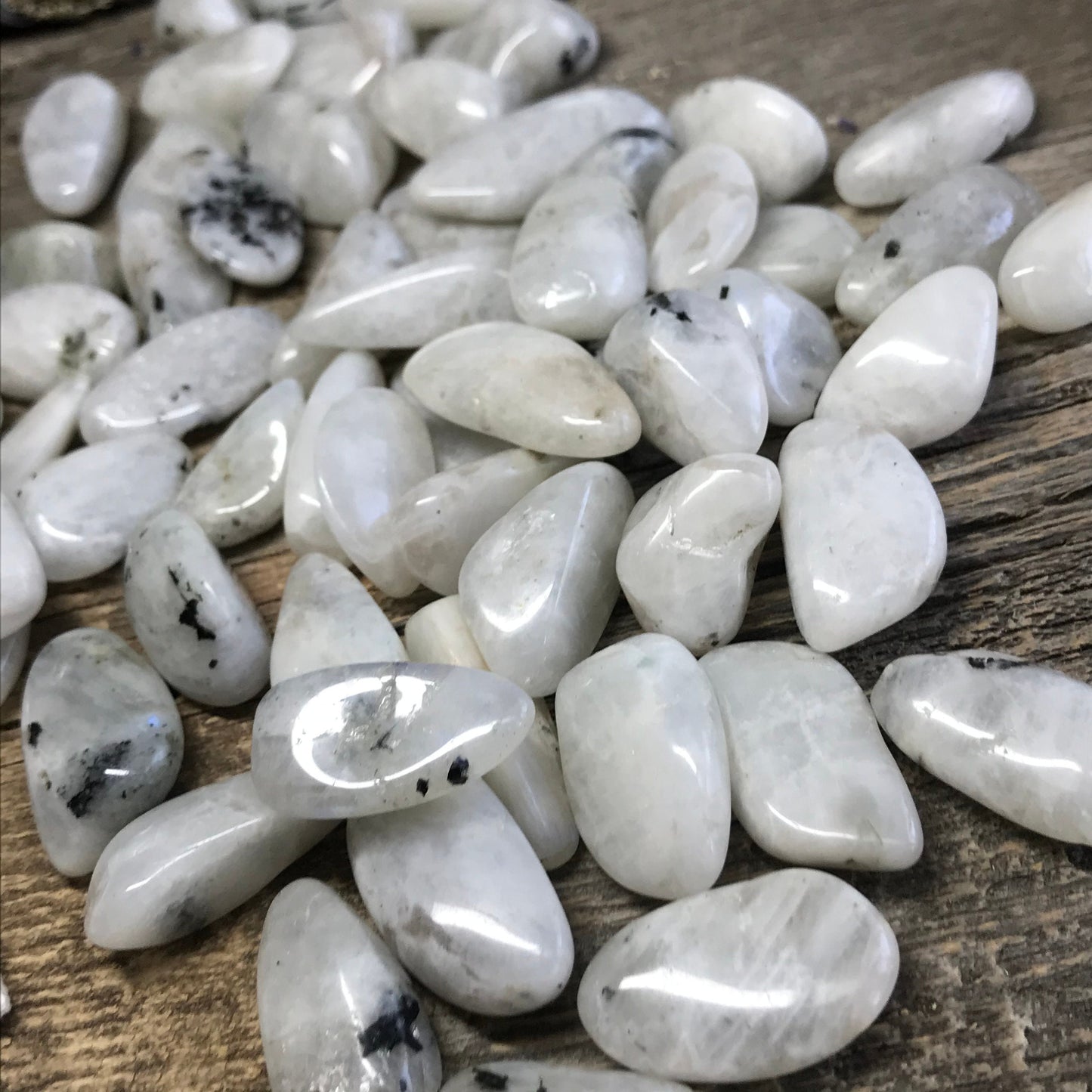 Rainbow Moonstone, Polished Tumbled Stone (Approx 3/4 - 1" long) Polished Iridescent Stone BIN-1445