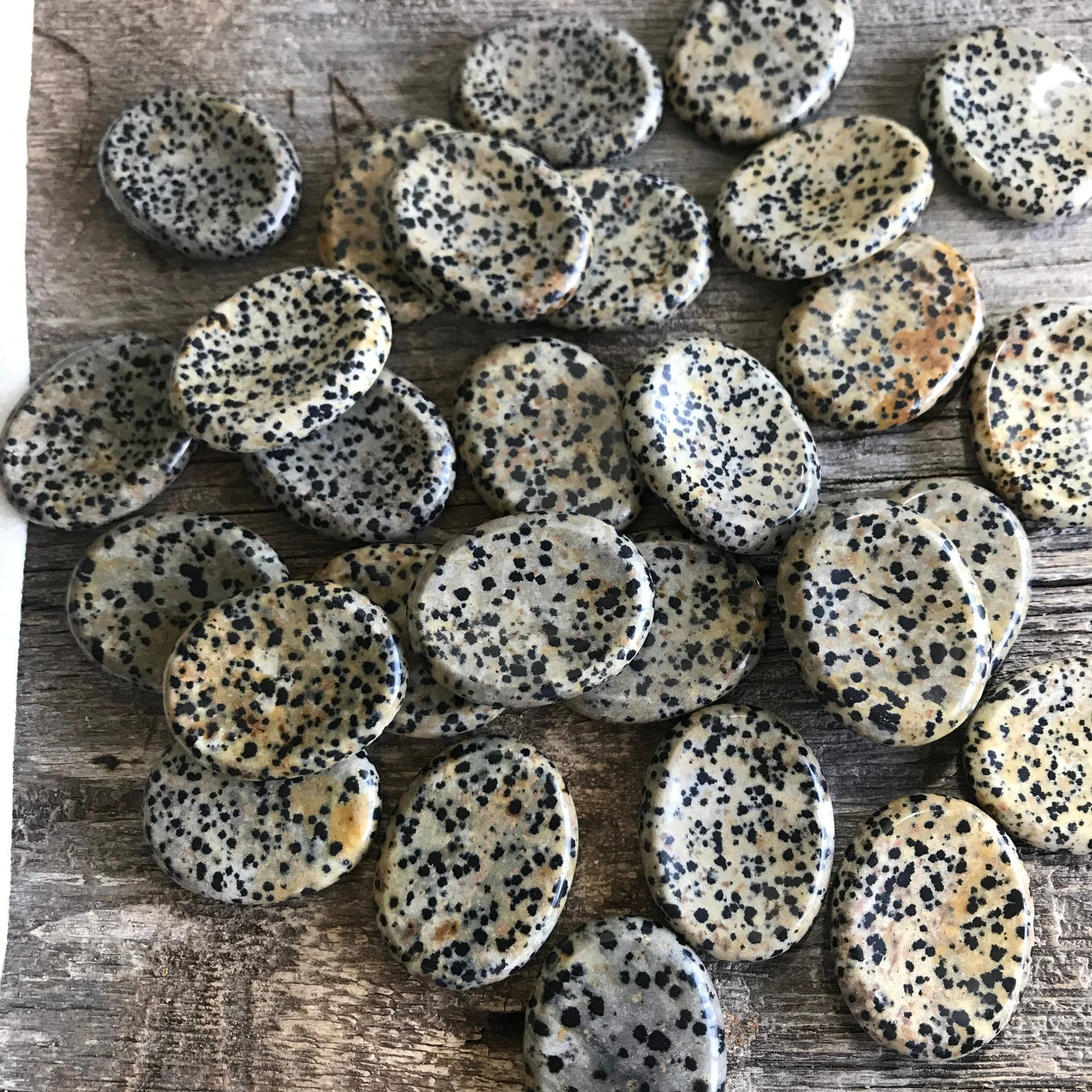 Dalmatian Jasper Worry Stone 1389 (Approx 1 1/2" - 1 3/4") Polished Stone for Wire Wrapping or Crystal Grid Supply