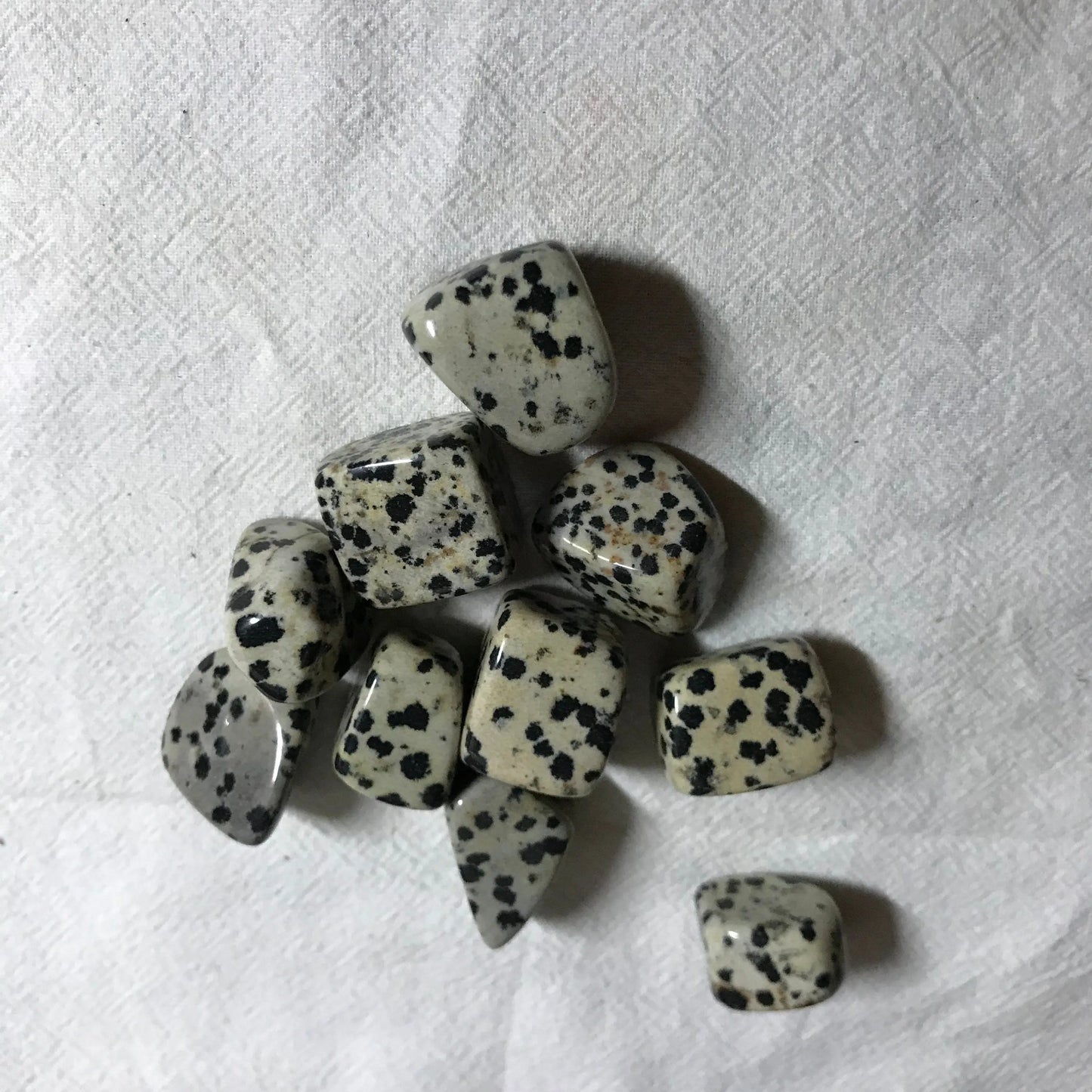 Dalmatian Jasper,  Polished Tumbled Stone (Approx 4/5" long)  Polished Stone, for Wire Wrapping or Crystal Grid Supply 0628 Shop Wholesale Crystals