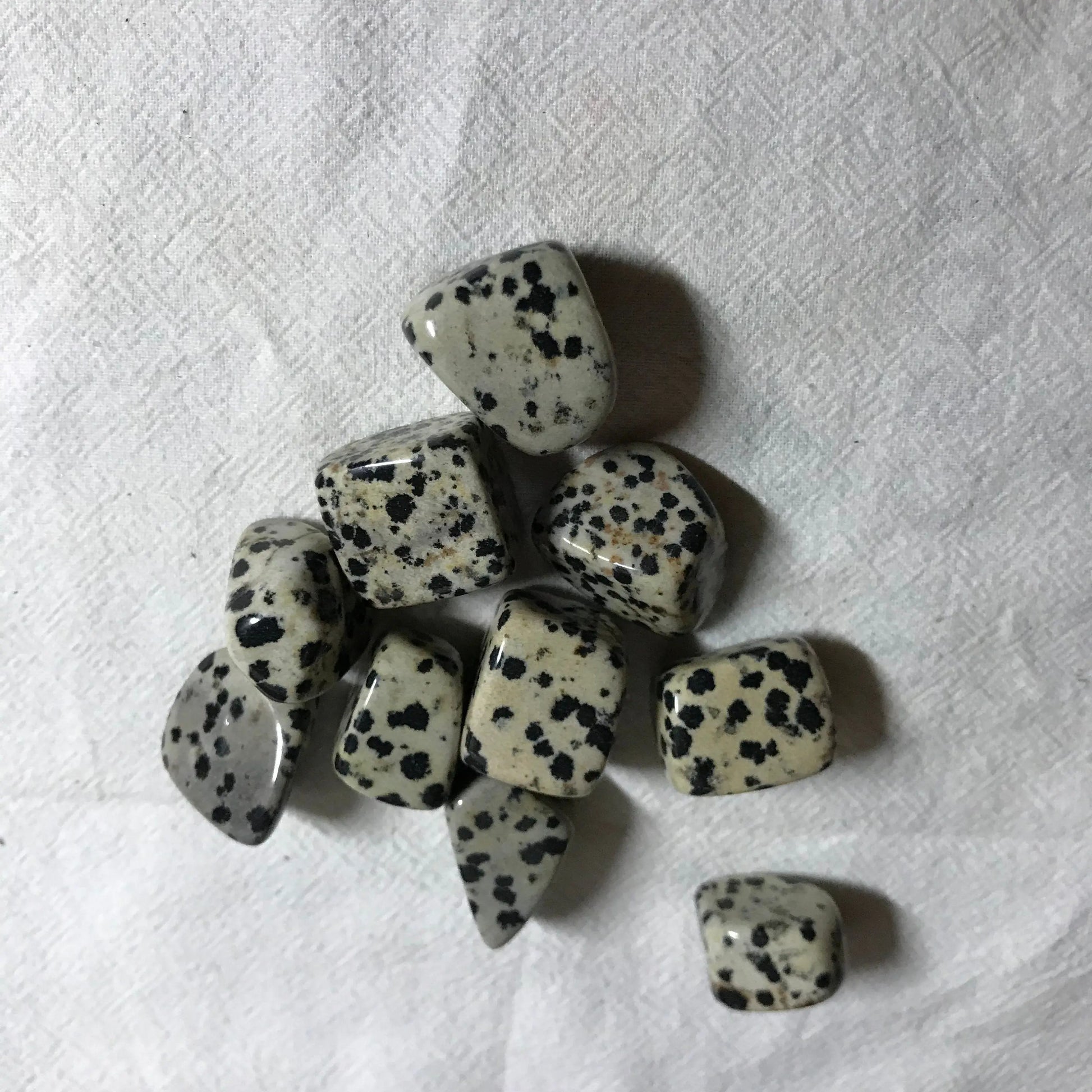 Dalmatian Jasper,  Polished Tumbled Stone (Approx 4/5" long)  Polished Stone, for Wire Wrapping or Crystal Grid Supply 0628 Shop Wholesale Crystals