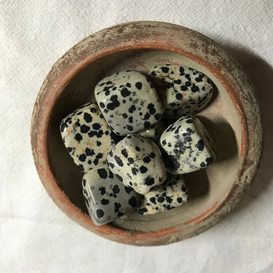 Dalmatian Jasper,  Polished Tumbled Stone (Approx 4/5" long)  Polished Stone, for Wire Wrapping or Crystal Grid Supply 0628