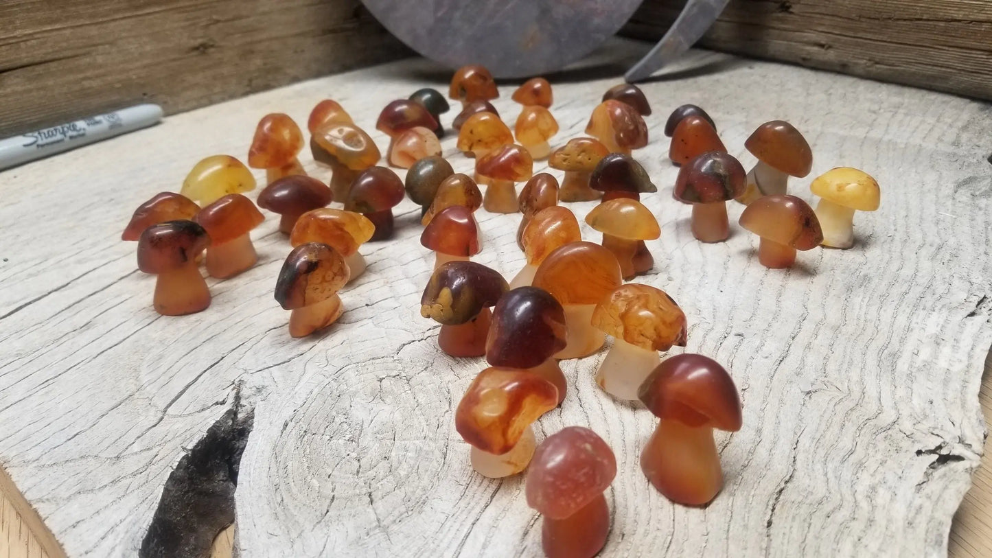 Mushroom, Carnelian Agate, Polished (Approx 1 1/2 " x 1 1/2 ")  Polished Stone for Crystal Grid or Craft Fairy Garden Supply 0001 Shop Wholesale Crystals