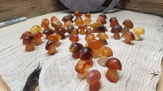 Mushroom, Carnelian Agate, Polished (Approx 1 1/2 " x 1 1/2 ")  Polished Stone for Crystal Grid or Craft Fairy Garden Supply 0001