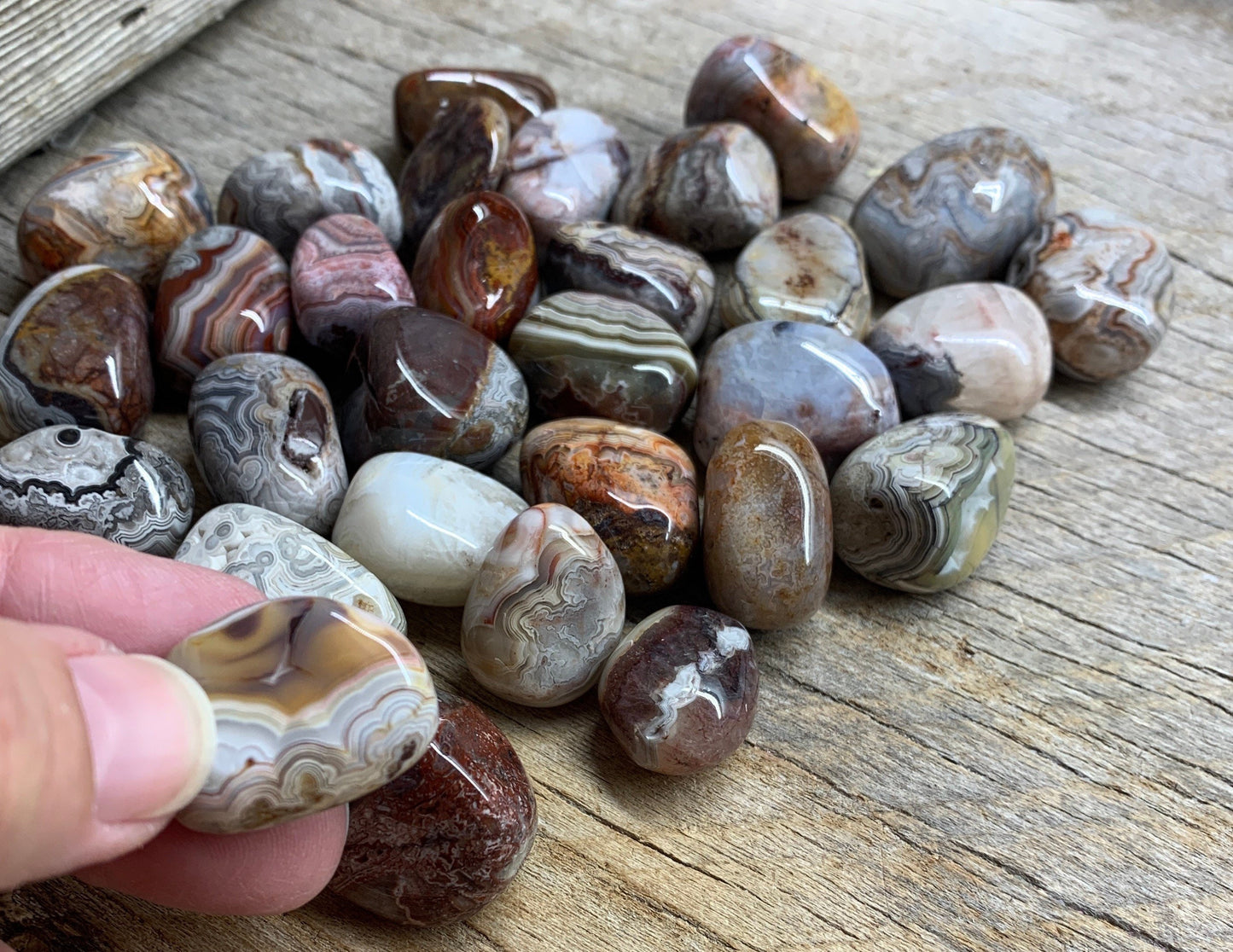 Mexican Agate/ Crazy Lace Agate BIN-1527 Approx. 1”- 1 1/2”