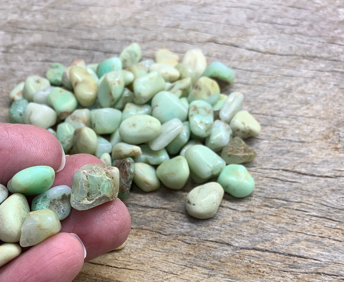 Chrysoprase Tumbled Stone 0748 (Approx. 3/8”- 5/8”)