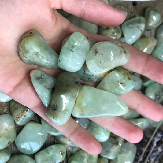 Green Prehnite, Tumbled, Polished Stone, One Stone (Approx 1 1/4" long) Wire Wrapping or Crystal Grid Supply 0664