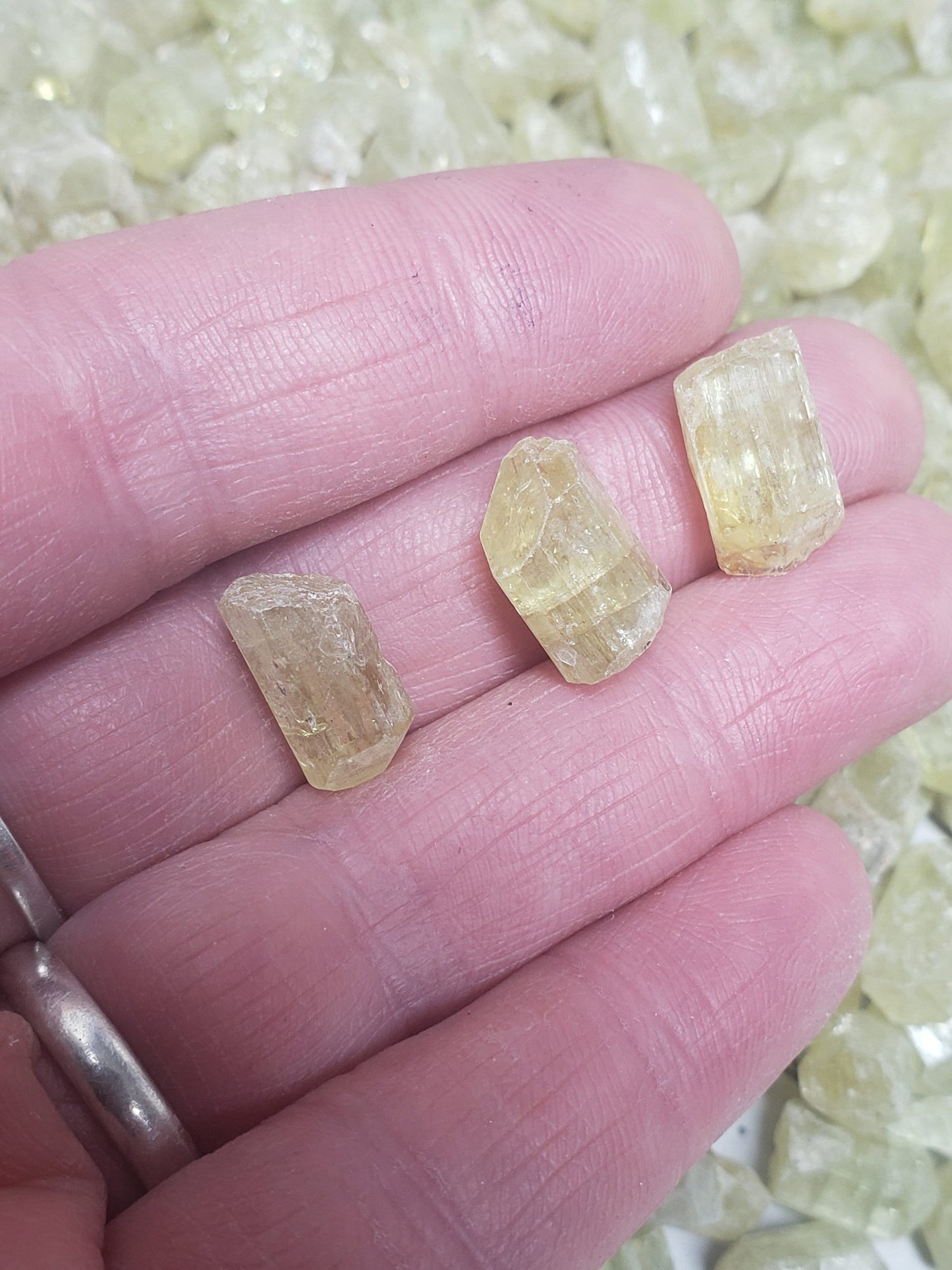 Golden Yellow Apatite, One stone, Very Small (3/8 to 1/2" long), Beautiful, Natural Crystal, Rough Healing Crystal, 0421