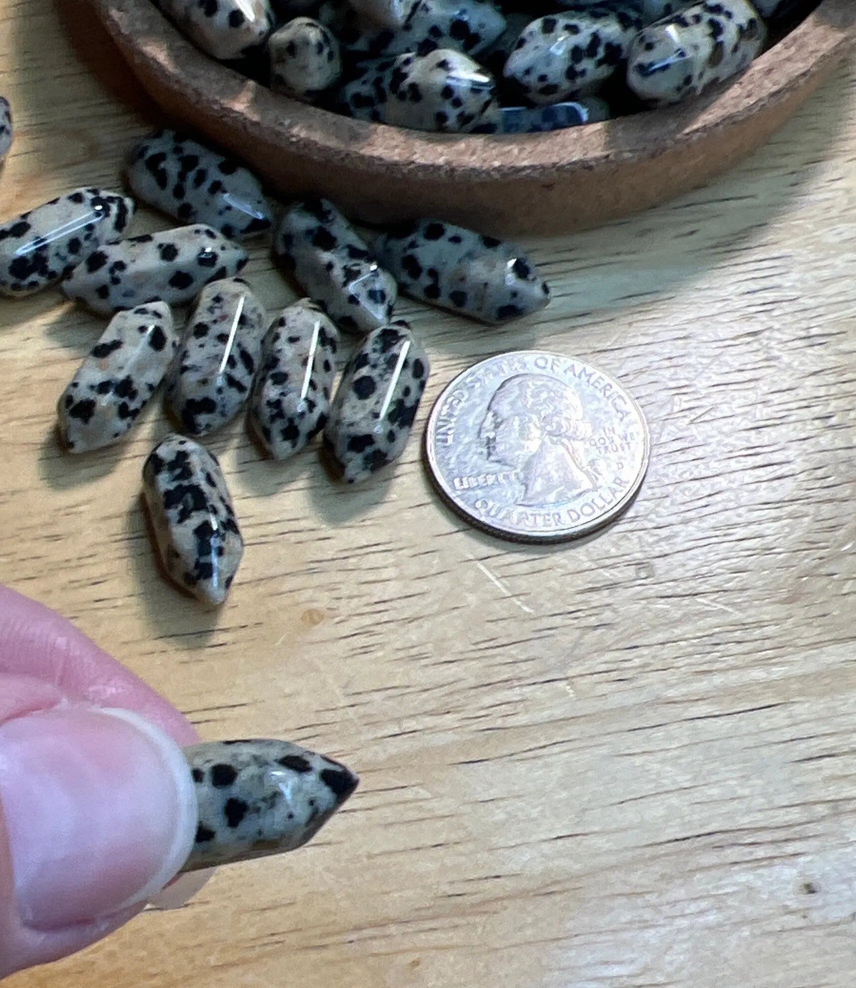 Dalmatian Jasper Double Terminated Crystal Point (Approx. 3/4") T-0067 Shop Wholesale Crystals