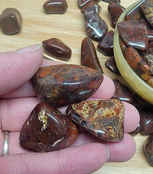 Brecciated jasper, Polished Tumbled Stone (Approx 2/3" long)  Polished Stone, for Wire Wrapping or Crystal Grid Supply BIN-1380