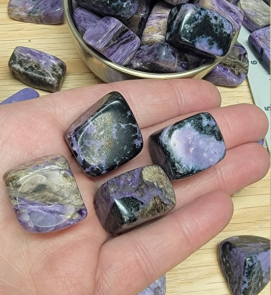 Charoite Tumbled Stone BIN-1342 (Approx. 3/4" - 1 1/4") Purple Polished Stone for Crystal Grid, Wire Wrapping or Craft Supply