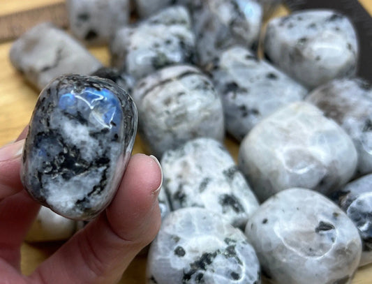 Rainbow Moonstone Palm Stone 1575 (Approx. 1 5/8”- 2 1/3”) Shop Wholesale Crystals