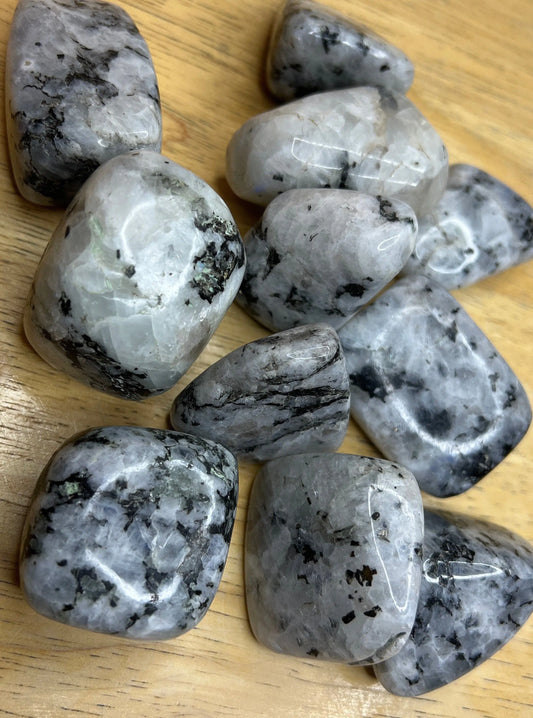 Rainbow Moonstone Palm Stone 1577 (Approx. 1 1/2”- 2”) Shop Wholesale Crystals