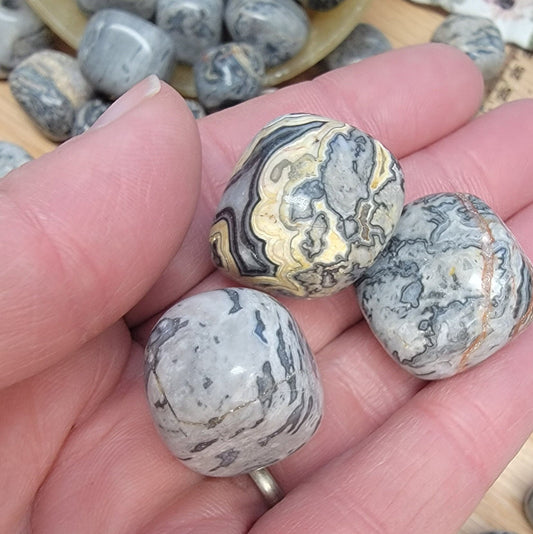 Picasso Jasper Tumbled Stone (Approx. 5/8”- 1 1/8”) BIN-1393