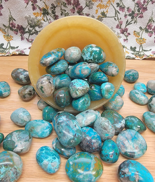 Chrysocolla Large Tumbled Stone BIN-1340 (3/4”- 1 1/8”)