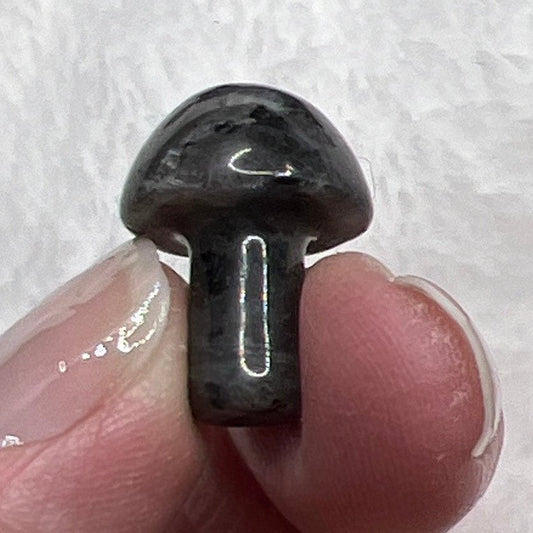 Larvikite Carved Mushroom (Approx. 5/8" x 3/4") 0032