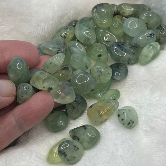 Green Prehnite, Tumbled, Polished Stone (Approx. 1/2”- 1”) Bin-1339