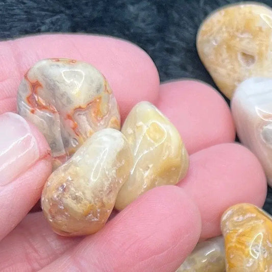 Crazy Lace Agate Tumbled Stone 0619 (Approx. 5/8”- 3/4”) Shop Wholesale Crystals