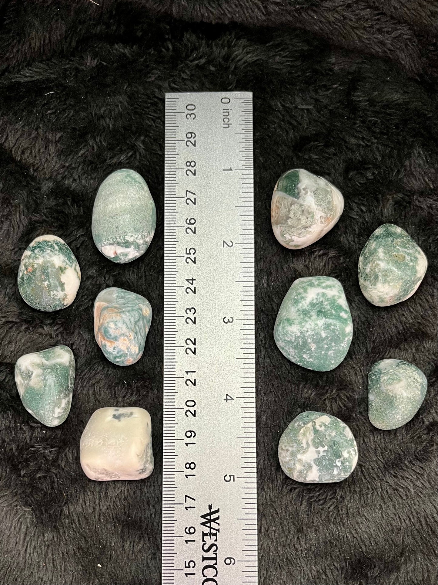 Tree Agate Tumbled Stone (Approx. 3/4”-1”) BIN-1260