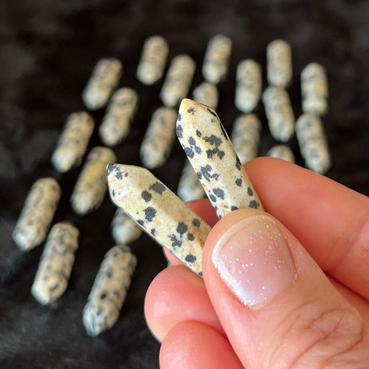 Dalmatian Jasper Double Point (Approx. 1 1/8”) T-0013