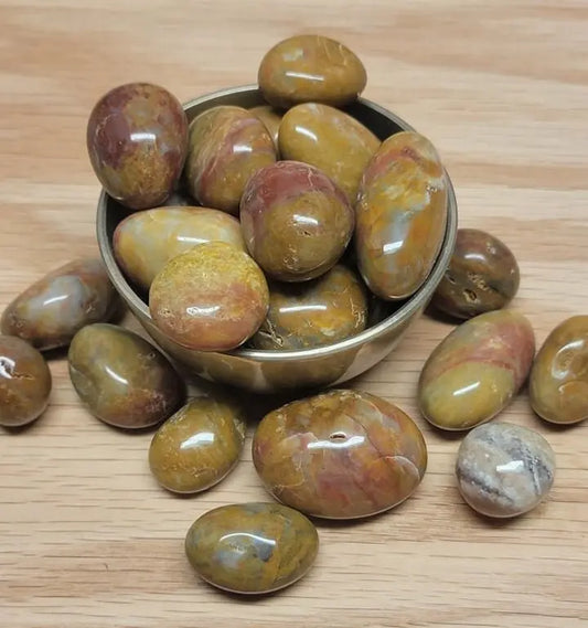 Red & Yellow Moss Agate, Tumbled Stone (Approx. 3/4" - 1 1/2") for Wire Wrapping or Crystal Grid Supply 0669 Shop Wholesale Crystals