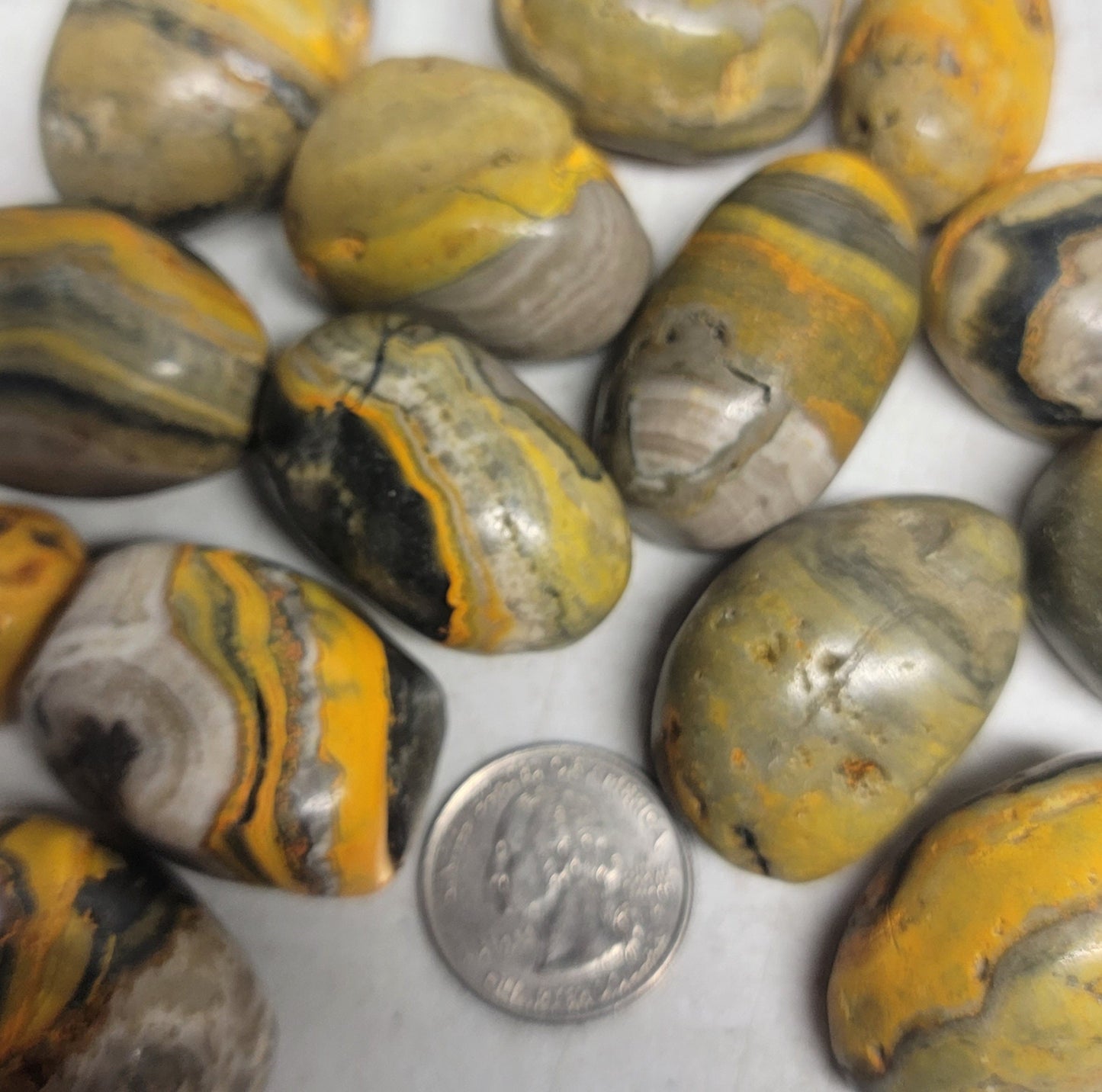 Bumblebee Jasper Tumbled Stone BIN-1462 (1 1/4”- 1 5/8”)